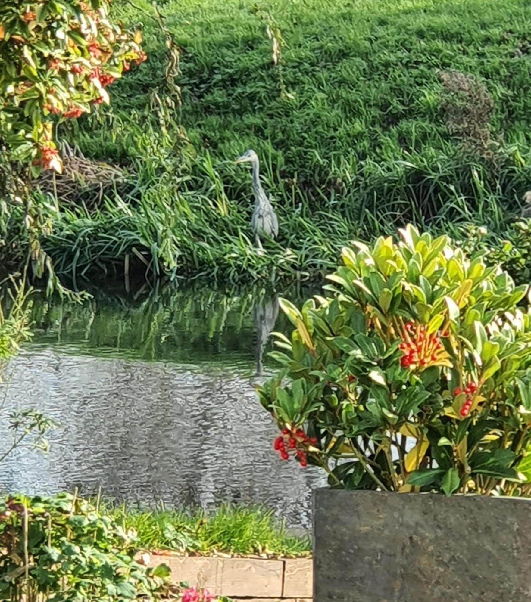 River Cottage Stoke Ferry Esterno foto